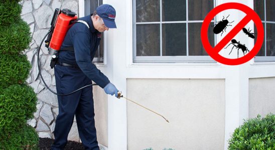 Sığacık Dezenfeksiyon böcek ilaçlama ve haşere kontrolü — ilaclama-tr.com